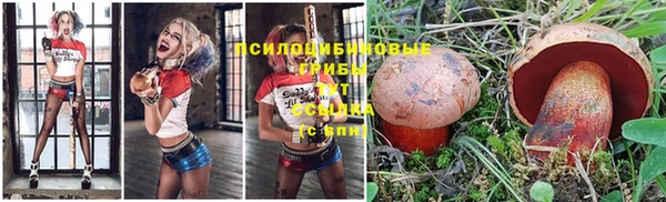 каннабис Баксан