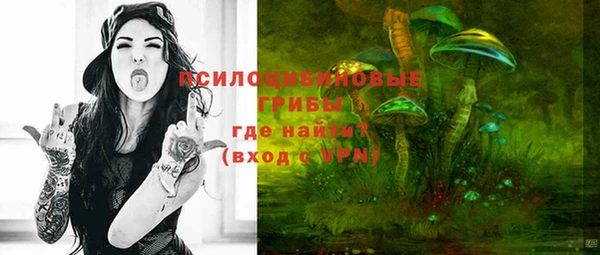 хмурый Балабаново