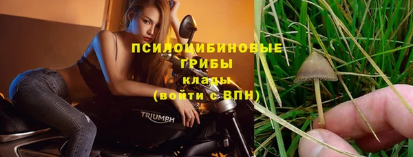 хмурый Балабаново