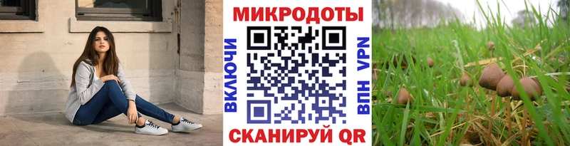 площадка состав  Куйбышев  Псилоцибиновые грибы ЛСД 